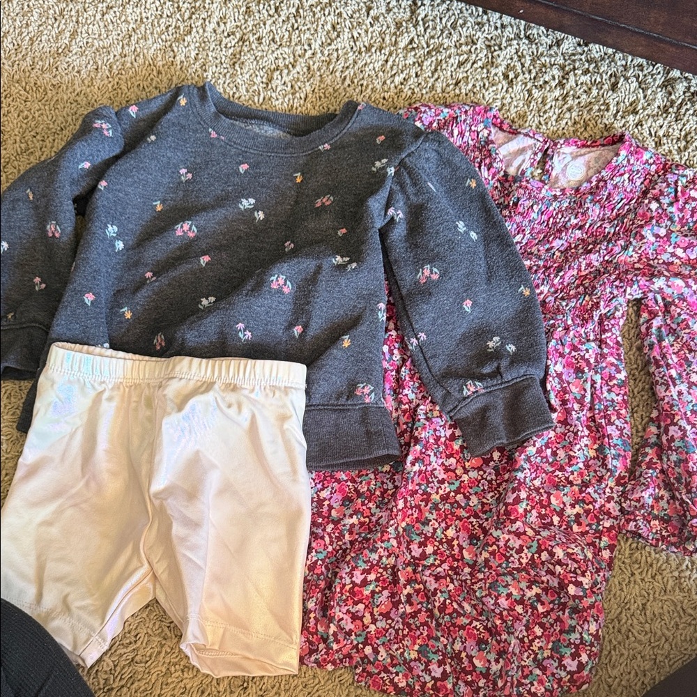wonder nation Pink Floral Dress with Gray Floral Sweatshirt Set